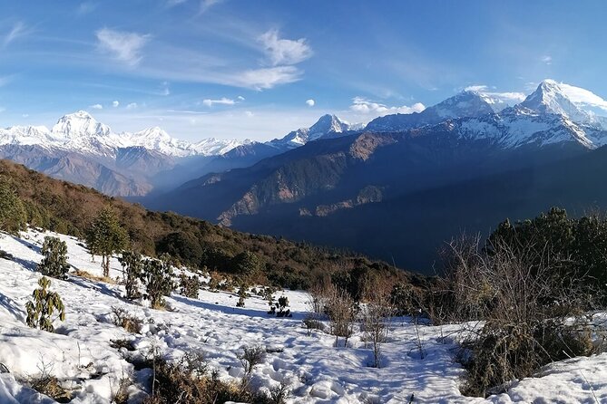 Pokhara: 4 Day Poon Hill Trek - Pokhara to the trailhead: pickup, private rides, and quick setup