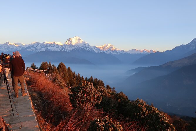 Pokhara: 4 Day Poon Hill Trek - Day 2 to Ghorepani: Ulleri stairs and rhododendron forest time