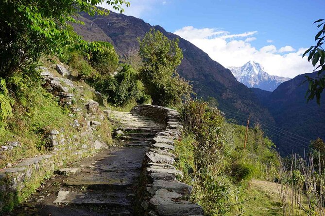 Pokhara: 4 Day Poon Hill Trek - Day 1 to Tikhedhunga: your first taste of the Annapurna walking world