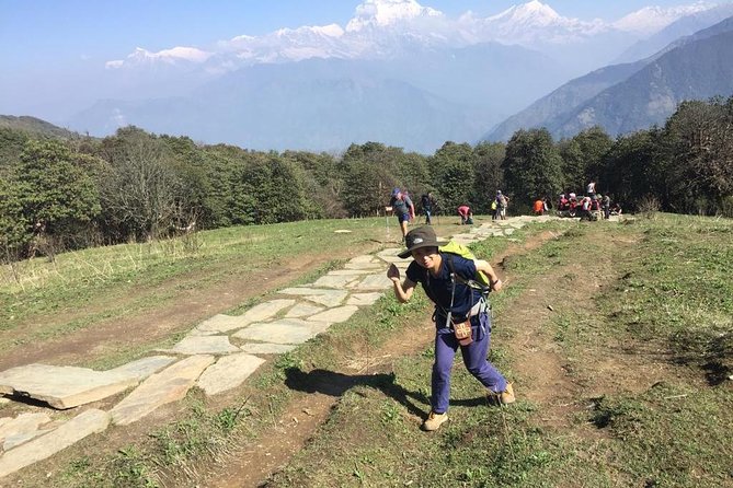 Pokhara: 4 Days Poon Hill - Ghandruk Village Trek - Price and logistics: what $339.34 actually buys you