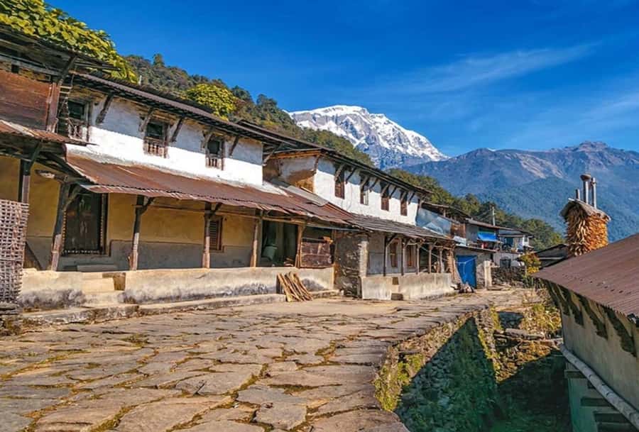 Pokhara: 5 Day Annapurna Base Camp Trek & Natural Hot Spring - Day 4: Base Camp Time, Then Down to Bamboo (2,400 m)