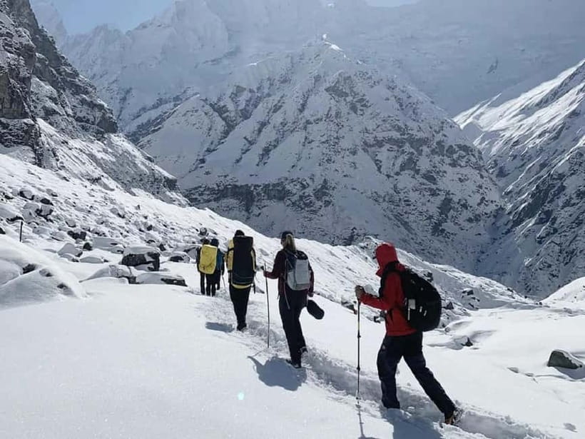 Pokhara: 7-Day Annapurna Base Camp Trek & Natural Hot Spring - From Chomrong to Himalaya (2,920 m): bamboo and rhododendron, plus altitude you can feel