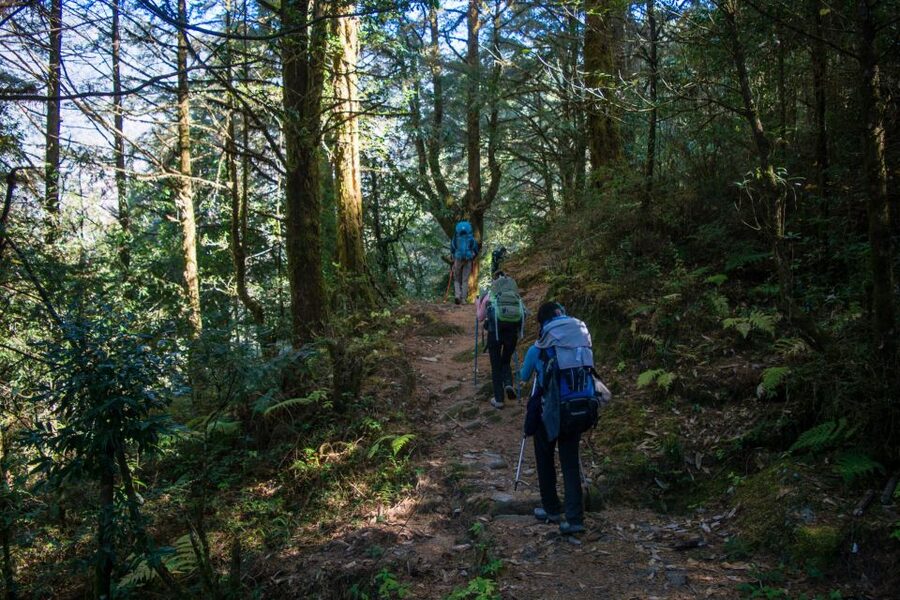 Pokhara: 9-Day Annapurna Base Camp Trek with Poon Hill - Price and Logistics: What Your $487 Gets You