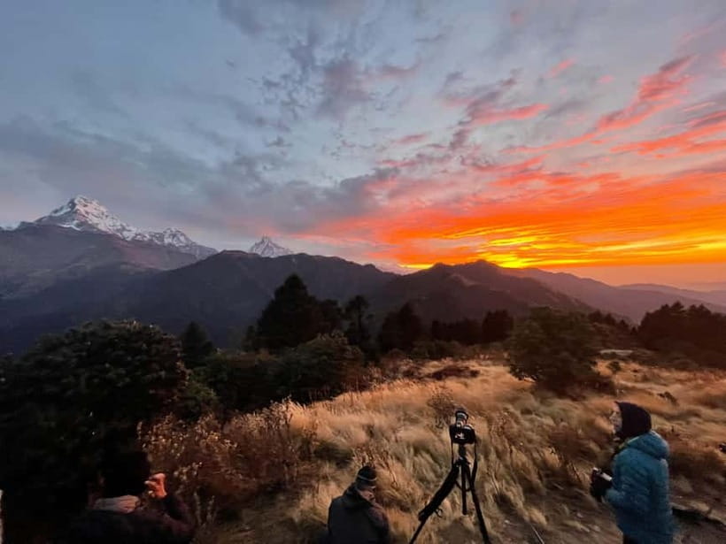 Pokhara: 9-Day Annapurna Base Camp Trek with Poon Hill - Poon Hill Sunrise to Tadapani or Chuile: Forest Walking After the Big Moment