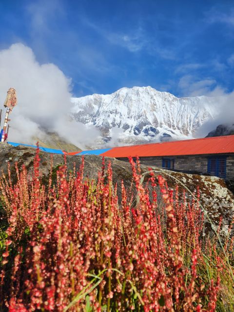 Pokhara: 9-Day Annapurna Base Camp Trek with Poon Hill - Jhinu Dada Back to Lakeside Pokhara: A Soft Landing