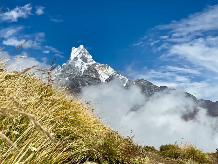 Pokhara: Majestic Mardi Base Camp Guided Trek with HotSpring - Day 4: Rest Camp down to Jhinu Danda natural hot spring at about 1,600m