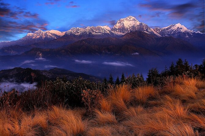 Pokhara: Poon Hill Ghorepani Short Trek - What the trail feels like: short, but not effortless