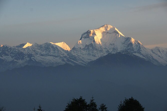 Pokhara: Poon Hill Ghorepani Short Trek - Your guide makes the difference: private pace, local knowledge, and Dodi-level care