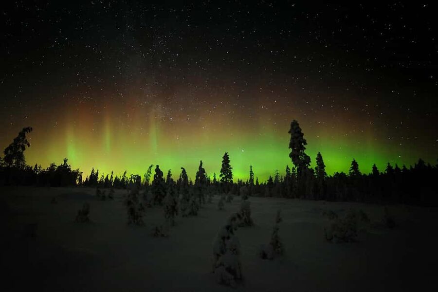 Polar Night Snowshoe Trek - The snowy forest walk: grouse signs, reindeer chances, and real winter quiet