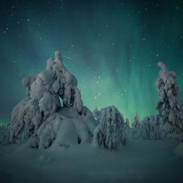 Polar Night Snowshoe Trek - Northern Lights viewing: how to maximize the odds without overthinking it