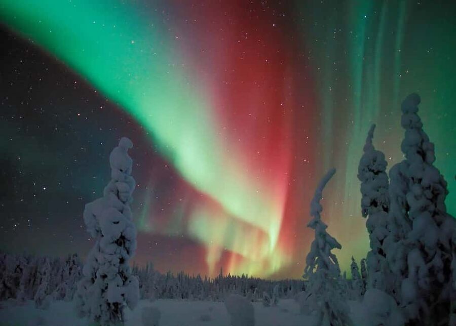 Polar Night Snowshoe Trek - Gear up at Xwander HQ and avoid the common cold-weather mistakes