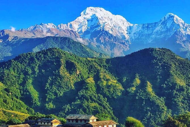 Poon Hill Ghandruk Circuit Trek from Pokhara 4 Days - Poon Hill Sunrise Day: the Big Moment at 3,210m
