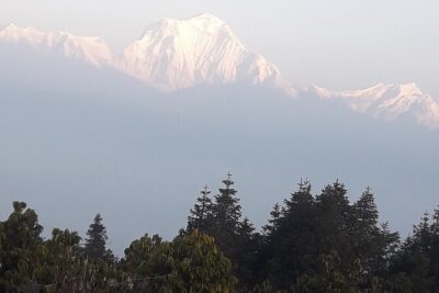 Poon hill Trek 3 days - The Trek Route Experience: Ulleri Steps, Village Walks, and Mountain Flora