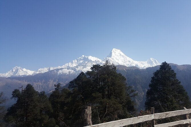 Poon hill Trek 3 days - Group Size, Pace, and Why the Guide Makes the Trek Feel Easy
