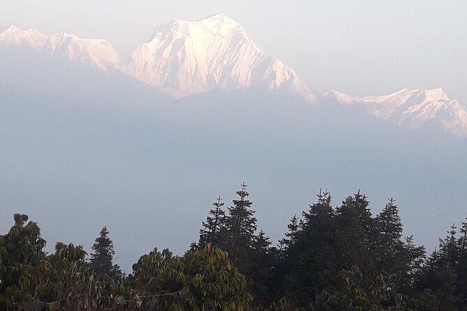 Poon hill Trek 3 days - The Trek Route Experience: Ulleri Steps, Village Walks, and Mountain Flora