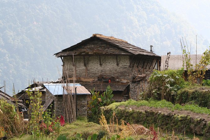 Poon Hill Trek - Day 6: The Poon Hill sunrise run and the Deurali to Tadapani transition