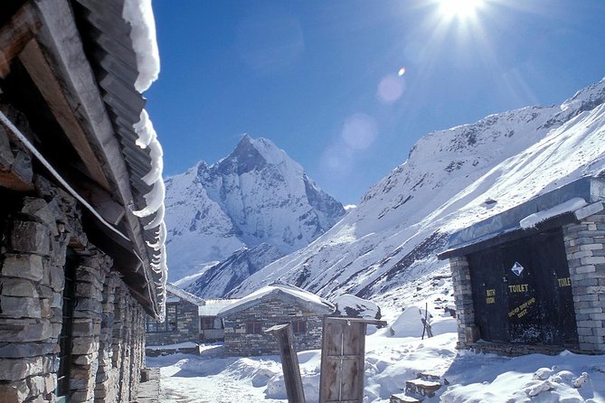 Poon Hill Trek From Pokhara - 3 Nights 4 Days - Day 2: Ulleri to Ghorepani Through Alpine Forest and Teahouses