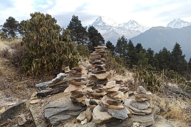 Poon Hill Trek from Pokhara 4 Days - Price and logistics: what $230 really buys