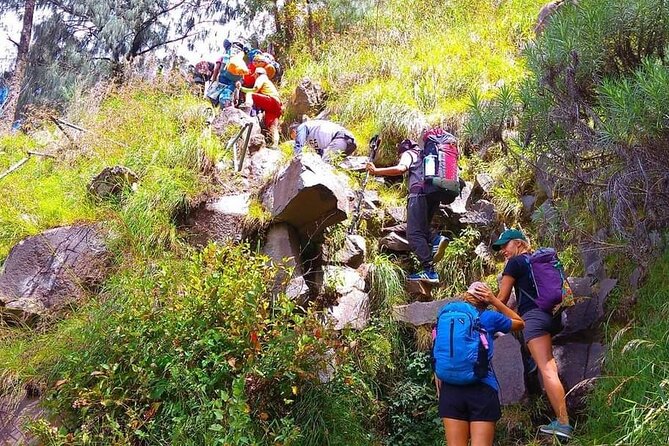 Popular Rinjani Trekking Tour Service To Summit For 2 Days Via Sembalun Trail - Waterfall Stop: Sendang Gile and Tiu Kelep