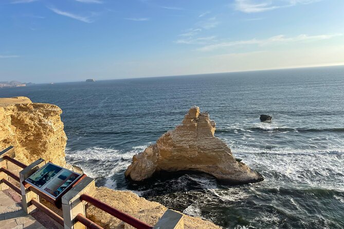 Premium Trekking Golden Shades - Paracas Peninsula Viewpoint: A Whole-Reserve Moment
