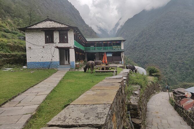 Private 12-Day All Inclusive Guided Annapurna Base Camp Trek Tour - Sinuwa and Dobhan: quieter trails, more time in the woods
