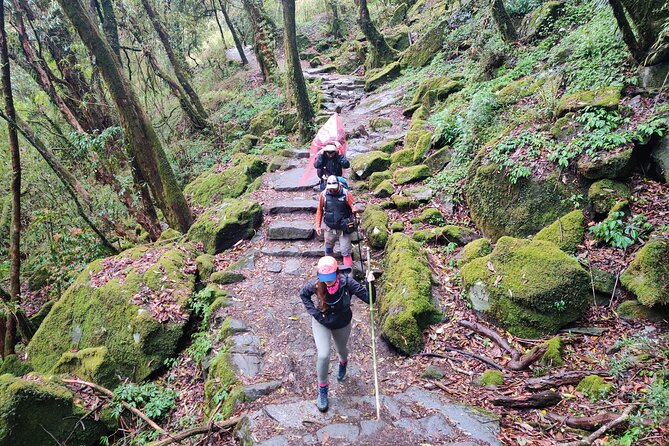Private 12-Day All Inclusive Guided Annapurna Base Camp Trek Tour - Deurali: tea-house life and waterfall energy
