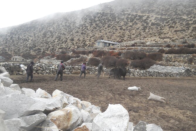 Private 12 - Day Everest Base Camp Trekking - Should you book this Everest Base Camp trek?