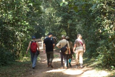 Private 2 Days Volcano Golden Monkey and Bwindi Gorilla Trek - Kinigi to Bwindi: The Drive, the Border, and the Day That Re-Forms Your Energy