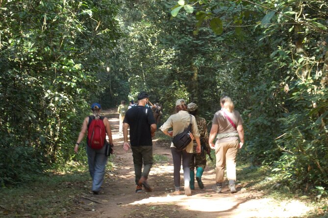 Private 2 Days Volcano Golden Monkey and Bwindi Gorilla Trek - Kinigi to Bwindi: The Drive, the Border, and the Day That Re-Forms Your Energy