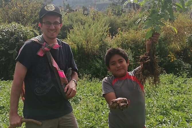 Private 3 Day Colca Canyon Trekking tour (superior Service) - Chivay, Volcano Viewpoints, and Vicuñas: The Scenic Finale Without the Stress