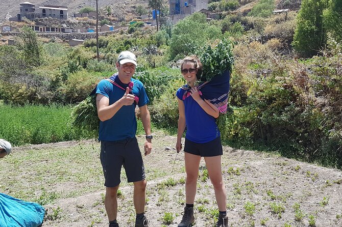Private 3 Day Colca Canyon Trekking tour (superior Service) - Arequipa to Yanque: Dawn Pickup, Andean Toast, and Valley of Fire Views