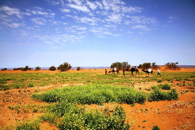 Private 3-days Desert tour from Zagora to Erg chigaga Dunes & Camel trek - Why Erg Chigaga from Zagora is different (and worth it)