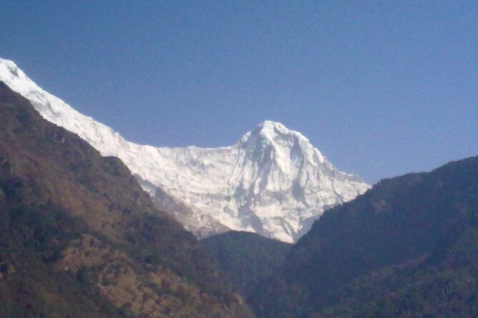 Private 4 - Day Poon Hill Trekking - Day 3: Poon Hill sunrise at 3193m, then rhododendrons to Tadapani