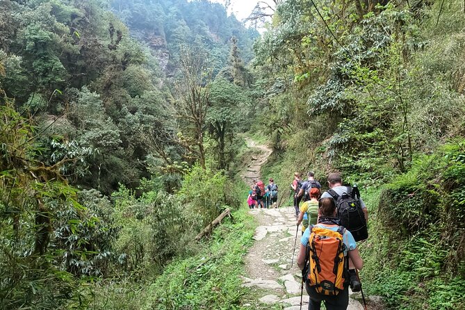 Private 4 - Day Poon Hill Trekking - Price and value: what $350 includes (and what you still need to budget for)