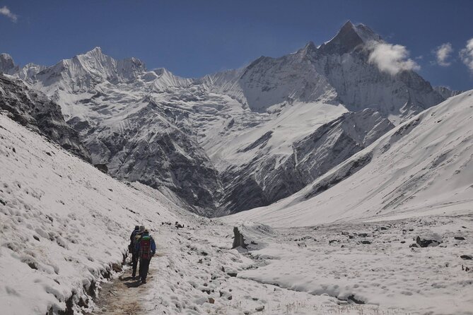 Private 7 - Day Annapurna Base Camp Trekking - Day 6: Bamboo Forests, Sinuwa Ridge, and Jhinu Danda Hot Springs