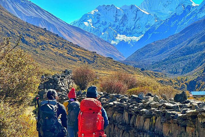 Private 8 - Day Langtang Trekking - Day 6: Returning Toward Lama Hotel—Rhododendron Forest on the Down-Route
