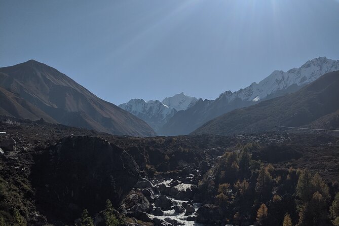 Private 8 - Day Langtang Trekking - Day 7: Syabrubensi Again—Dense Forests and That Last-Day Letdown
