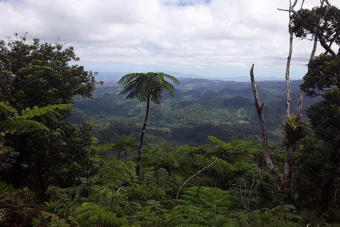 Private Breathtaking Mnt Victoria Day Trek - Nadarivatu Road to Navai Village: Rougher Terrain, Volcanic Backdrops