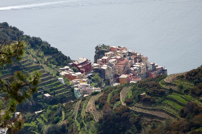 Private Cinque Terre Trek & Tour - Who this Cinque Terre trek suits best