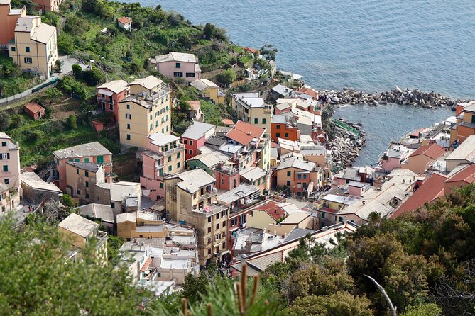 Private Cinque Terre Trek & Tour - Getting there and planning your day from Riomaggiore