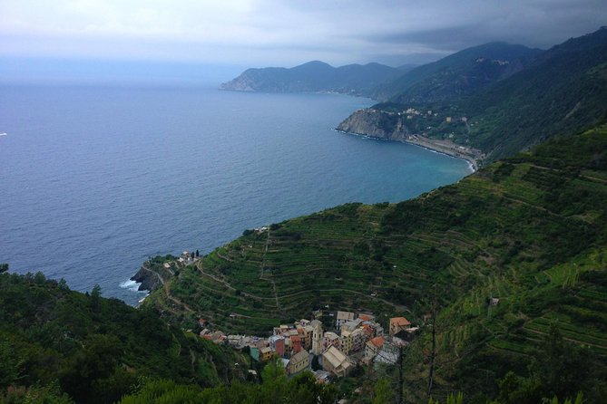 Private Cinque Terre Trek & Tour - Riomaggiore up toward Groppo: vines, walls, and trail lessons