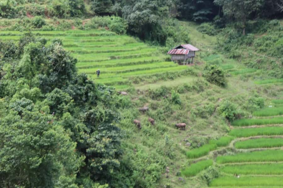 Private Doi Inthanon, Nature Trail, Wat Phra That Doi Kham - What to pack and how to handle the weather (cool + humid is a real combo)