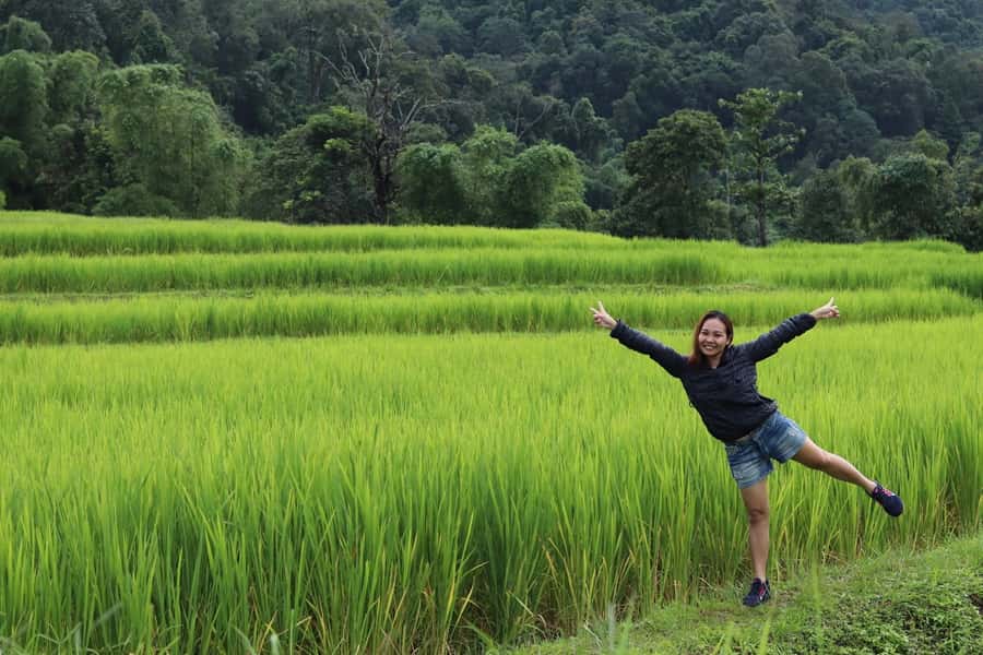 Private Doi Inthanon With Trekking Pha Dok Siew Nature Trail - A private Doi Inthanon day that mixes waterfalls, pagodas, and real trail time