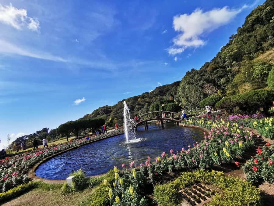 Private Doi Inthanon With Trekking Pha Dok Siew Nature Trail - Wachirathan Waterfall: a great early jolt of nature