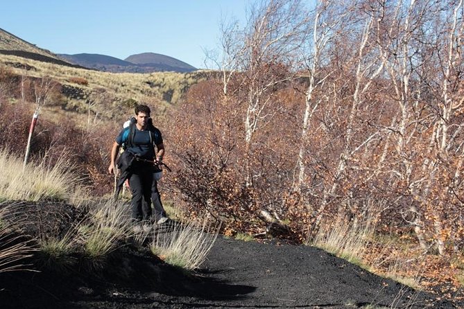 Private Etna Trekking half day tour from Taormina - Picnic Lunch with a Volcano View: Food That Actually Fits the Day