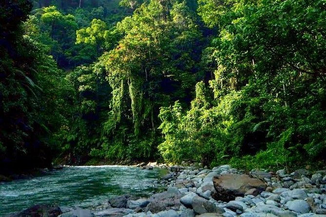 Private Full-Day Bukit Lawang Trekking Tour From Medan - Hike Back or Tube Raft: Choose the Right Finish for Your Legs