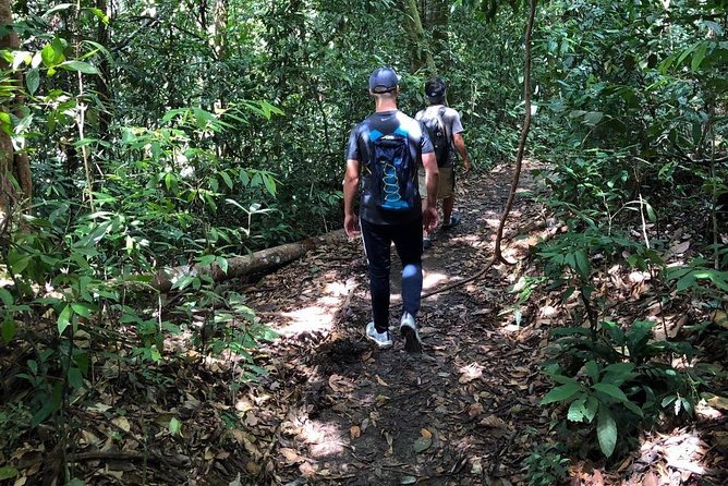 Private Full-Day Bukit Lawang Trekking Tour From Medan - Pickup, Private Guide, and Comfort: The Logistics That Affect Value