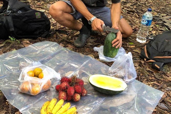 Private Full-Day Bukit Lawang Trekking Tour From Medan - Practical Packing and Fitness: Don’t Overthink It, Just Be Ready
