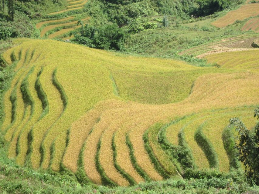 Private Hoang Lien National Park & Tribal Village Trek - Picnic lunch at 12:30 PM: a reset in the wilderness