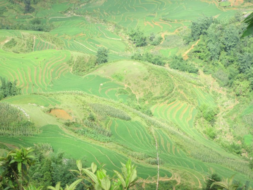 Private Hoang Lien National Park & Tribal Village Trek - The return to Sa Pa: timing that keeps your afternoon open